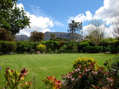 Edel Haus Constantia Cape Town Western Cape South Africa Complementary Colors, Plant, Nature, Garden