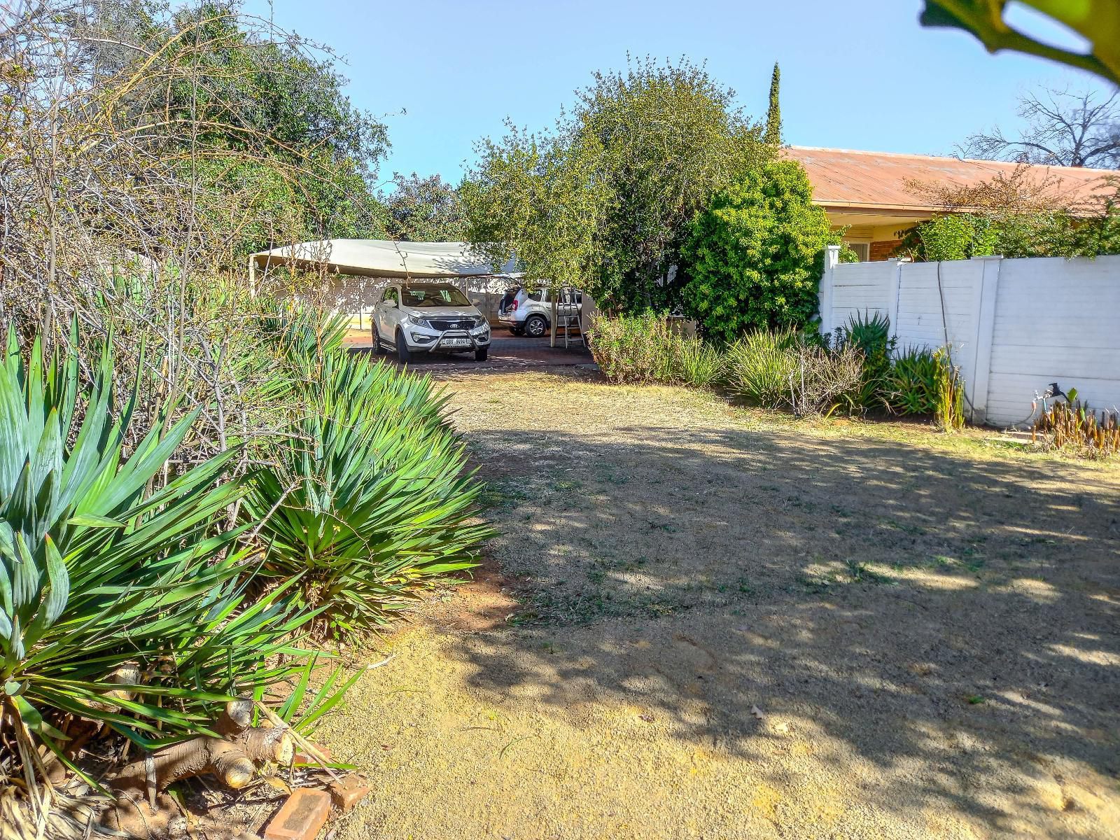 Edelrose Universitas Bloemfontein Free State South Africa Palm Tree, Plant, Nature, Wood, Garden