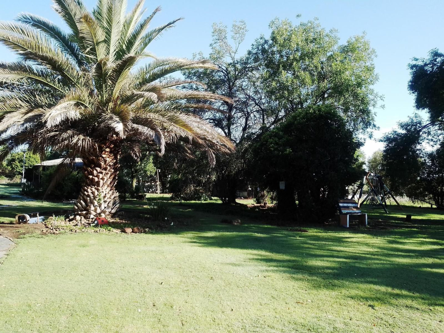 Eden Guest Farm, Palm Tree, Plant, Nature, Wood