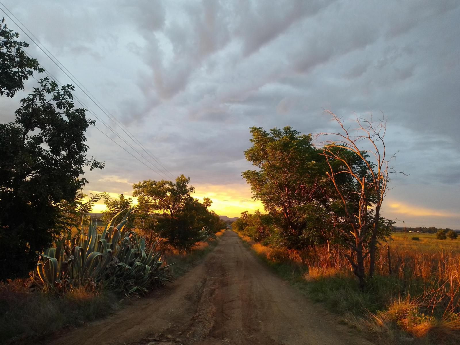 Eden Guest Farm, Nature, Street