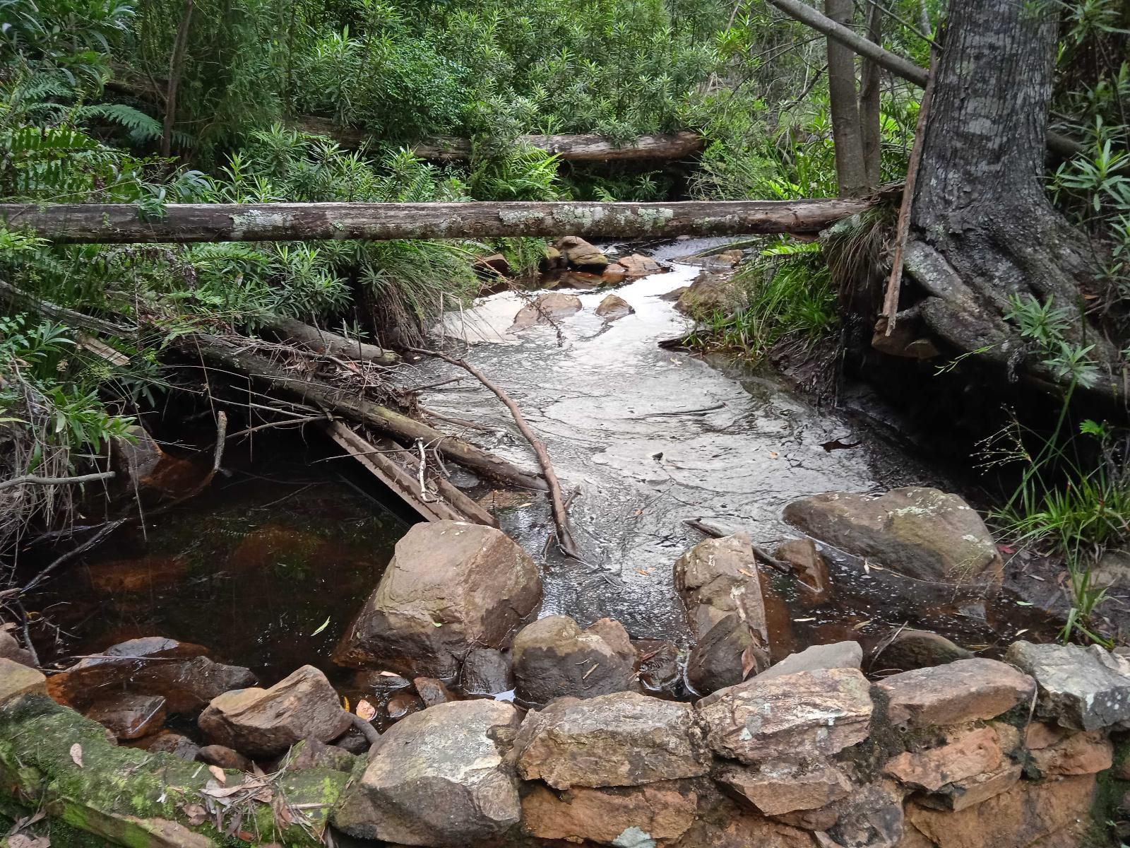 Edenbrook Country Manor, Forest, Nature, Plant, Tree, Wood, River, Waters, Waterfall