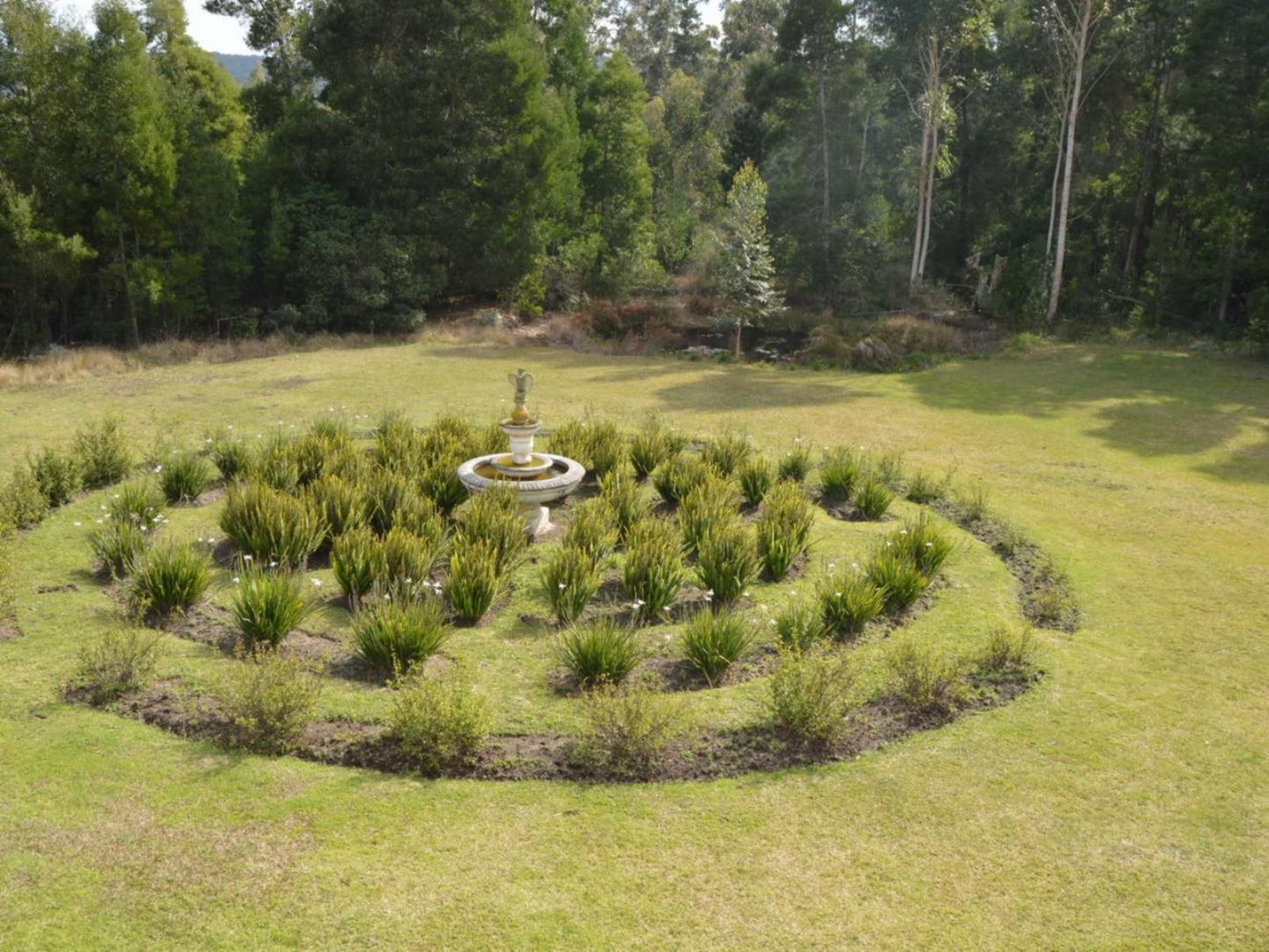 Edenbrook Country Manor, Plant, Nature, Tree, Wood, Garden