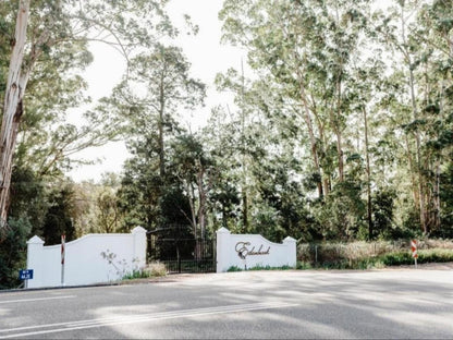 Edenbrook Country Manor, Forest, Nature, Plant, Tree, Wood, Palm Tree, Sign, Street