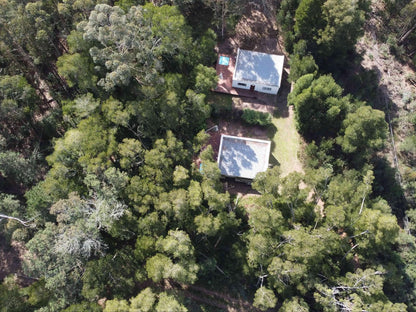 Edenbrook Country Manor, Edenbrook Wooden Lodge Classic Queen, Forest, Nature, Plant, Tree, Wood, Aerial Photography