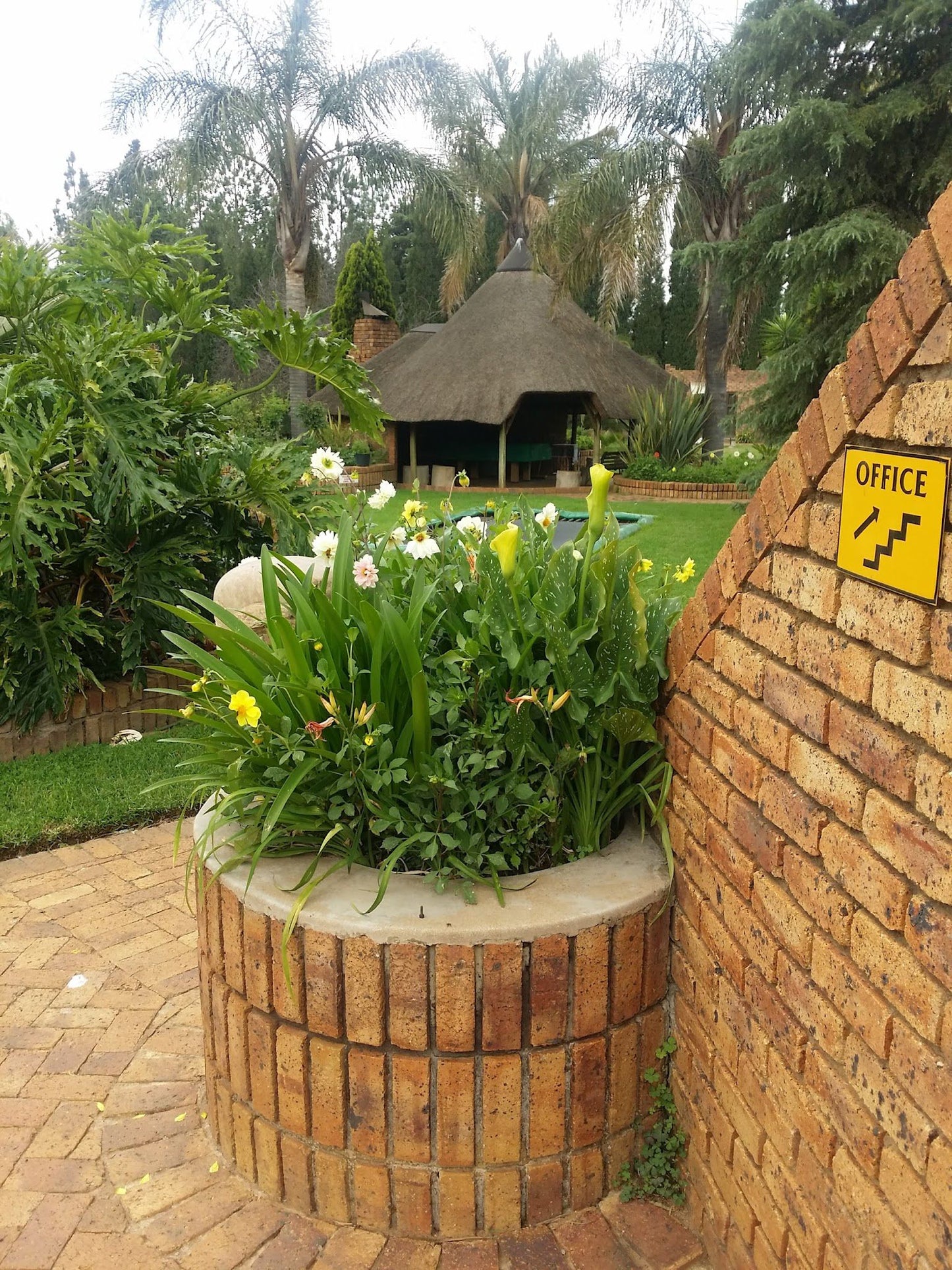 Eden Guest Lodge Kempton Park Johannesburg Gauteng South Africa Plant, Nature, Garden