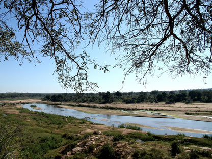 Eden Safari Country House Waterhole Marloth Park Mpumalanga South Africa River, Nature, Waters, Tree, Plant, Wood, Lowland