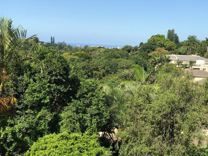 Edens Guesthouse Westville Durban Kwazulu Natal South Africa Complementary Colors, Palm Tree, Plant, Nature, Wood