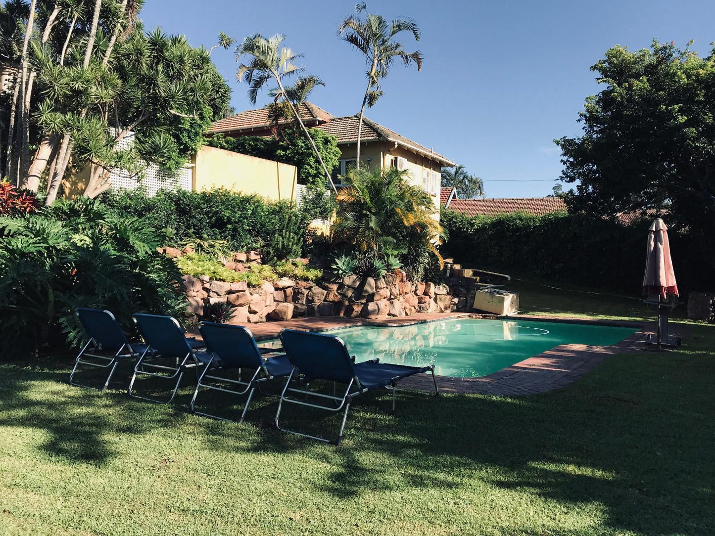 Edens Guesthouse Westville Durban Kwazulu Natal South Africa Complementary Colors, Palm Tree, Plant, Nature, Wood, Swimming Pool