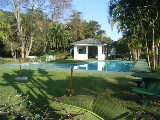 Eden Wilds Unit 46 And 49 Port Edward Kwazulu Natal South Africa Palm Tree, Plant, Nature, Wood, Swimming Pool