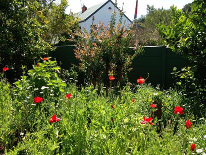 Edenwood Guest House Eden George Western Cape South Africa Flower, Plant, Nature, Meadow, Garden