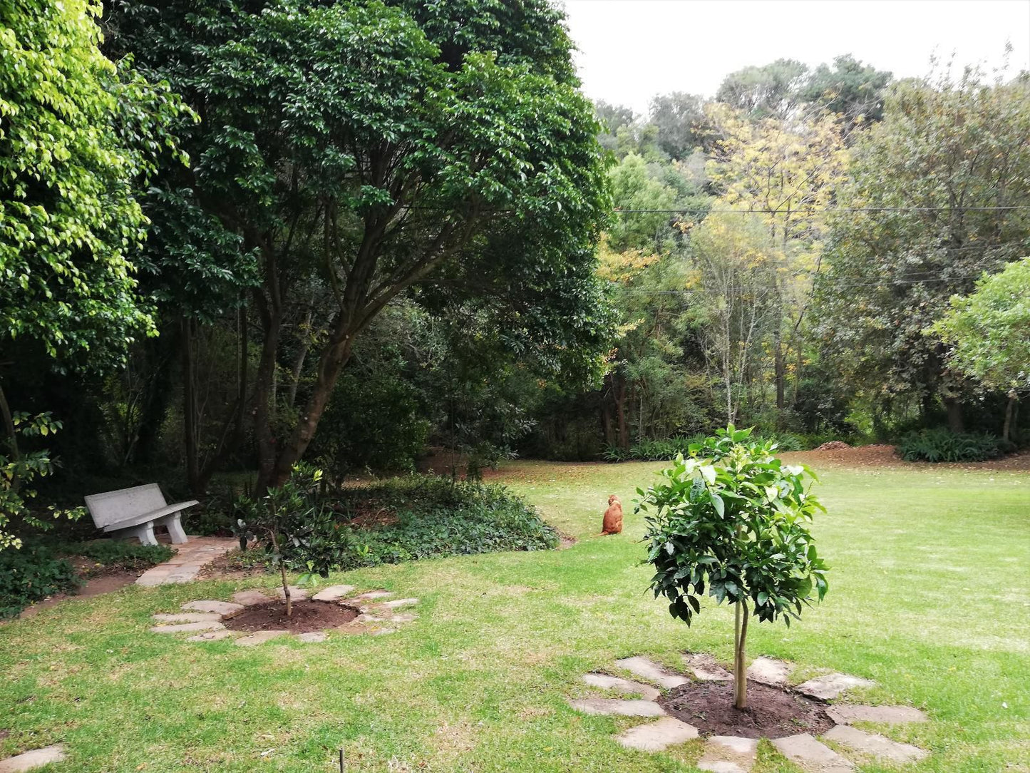 Edenwood Guest House Eden George Western Cape South Africa Plant, Nature, Tree, Wood, Garden