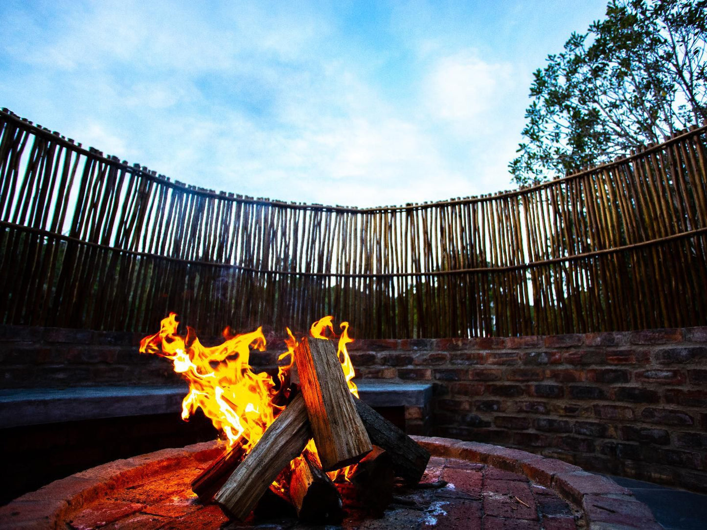 Edge Of Eden Kleinkrantz Wilderness Western Cape South Africa Fire, Nature