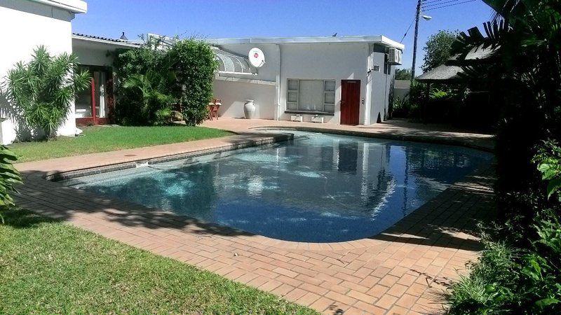 Palm Tree, Plant, Nature, Wood, Garden, Swimming, Water Sport, Sport, Person, Swimming Pool, Edge Lodge, Beacon Bay, East London