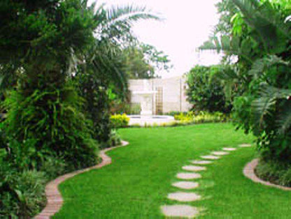 Palm Tree, Plant, Nature, Wood, Garden, Edge Lodge, Beacon Bay, East London