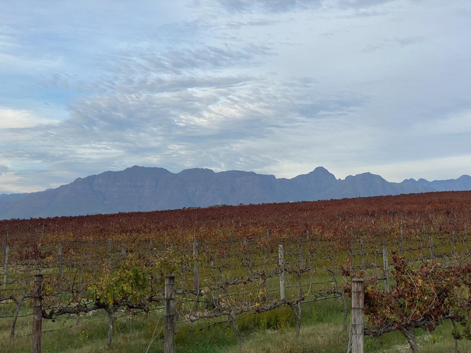 Eerstebosch Lyndoch Stellenbosch Stellenbosch Western Cape South Africa 