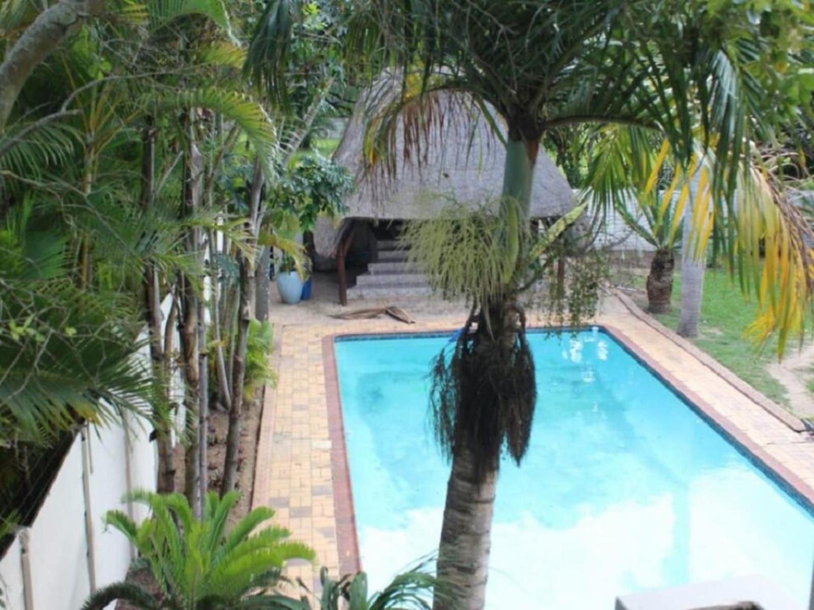 Egugwini Richards Bay Kwazulu Natal South Africa Palm Tree, Plant, Nature, Wood, Swimming Pool