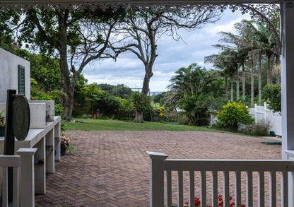 Eight Palms Port Edward Kwazulu Natal South Africa Palm Tree, Plant, Nature, Wood, Garden