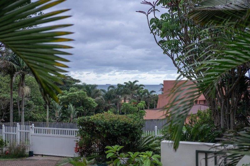 Eight Palms Port Edward Kwazulu Natal South Africa Palm Tree, Plant, Nature, Wood