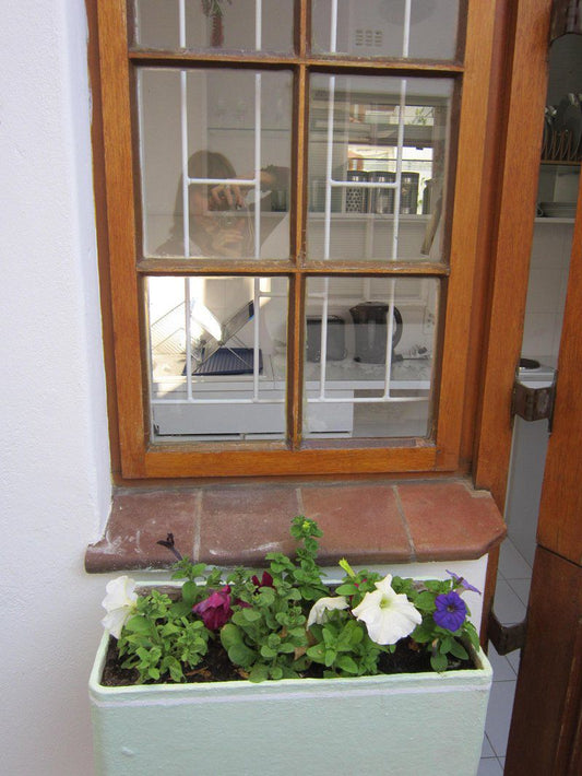 Eight On Burnside Tamboerskloof Cape Town Western Cape South Africa Balcony, Architecture, Door, Garden, Nature, Plant