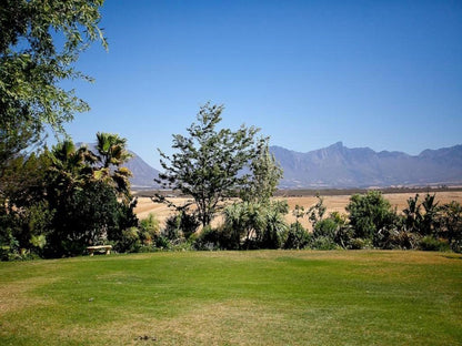 Eikelaan Farm Cottages Tulbagh Western Cape South Africa Complementary Colors, Ball Game, Sport, Desert, Nature, Sand