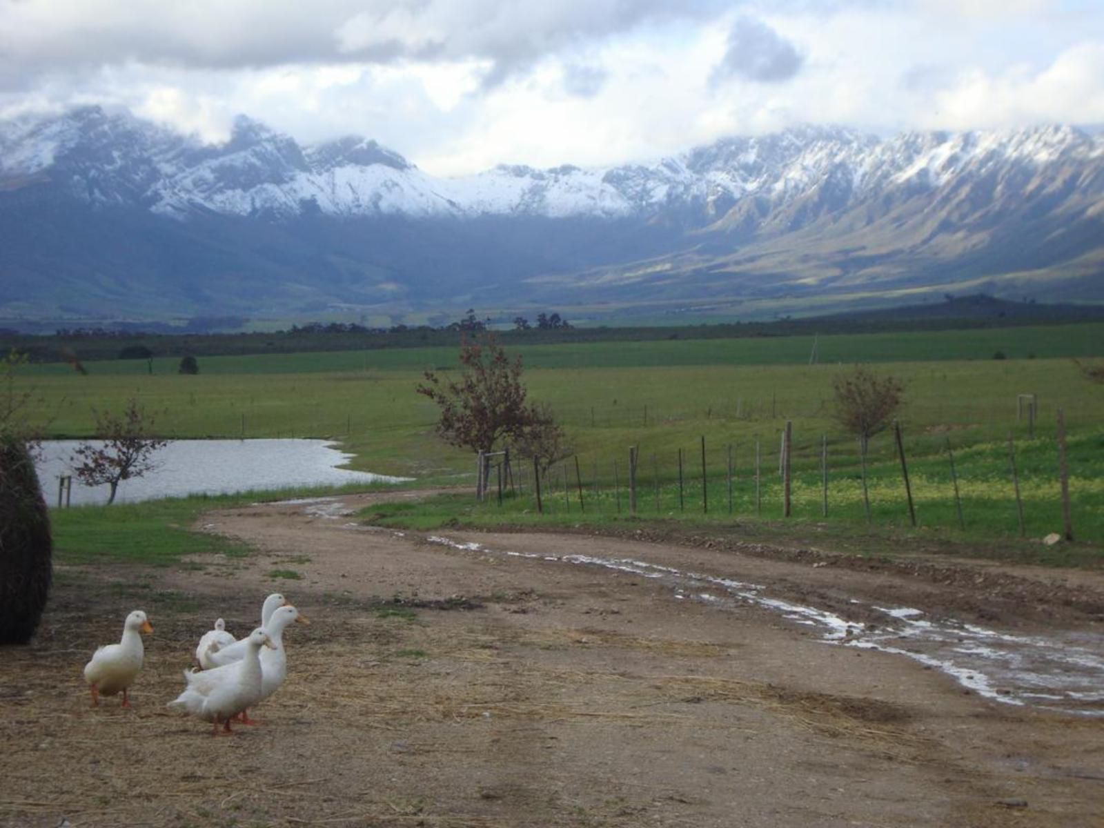 Eikelaan Farm Cottages Tulbagh Western Cape South Africa Mountain, Nature