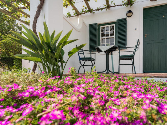 Eikendal Lodge Raithby Stellenbosch Western Cape South Africa Balcony, Architecture, House, Building, Palm Tree, Plant, Nature, Wood, Garden