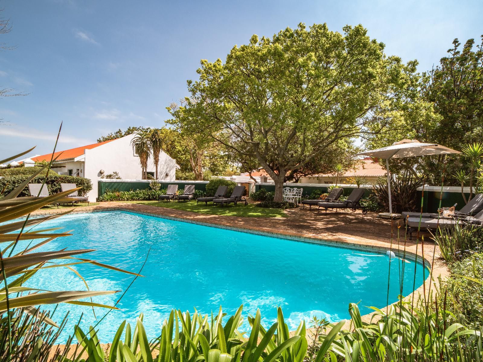 Eikendal Lodge Raithby Stellenbosch Western Cape South Africa Complementary Colors, Colorful, House, Building, Architecture, Palm Tree, Plant, Nature, Wood, Swimming Pool