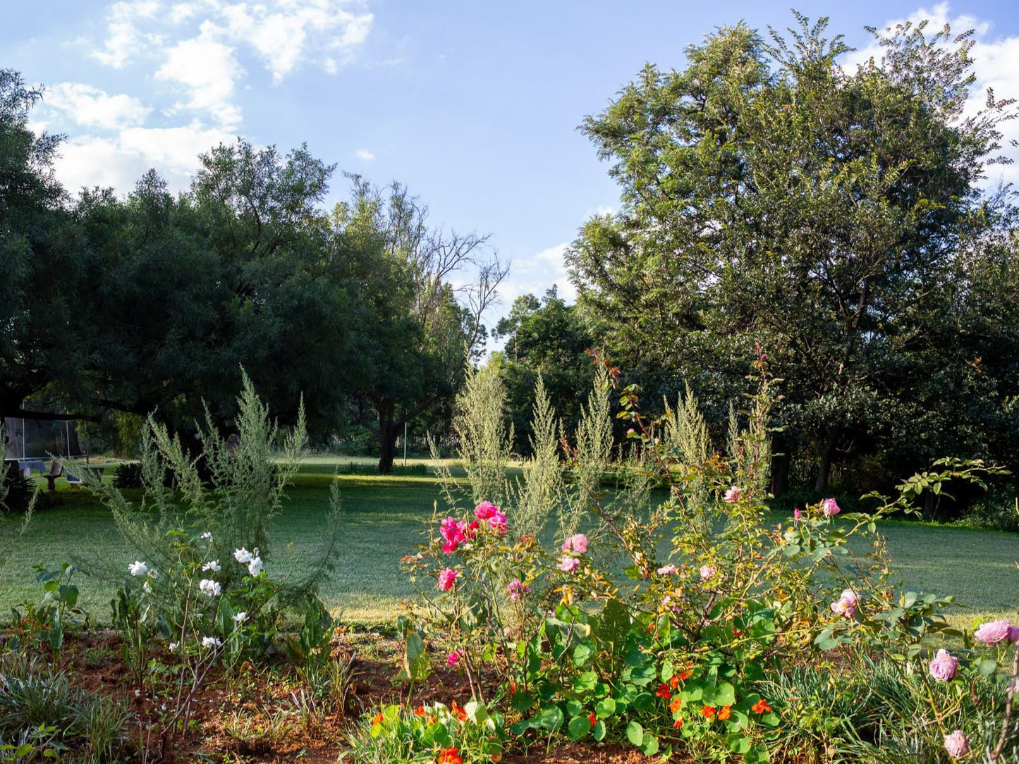 Eikenhof Country Guesthouse And Bandb Tedderfield Ah Eikenhof Gauteng South Africa Complementary Colors, Plant, Nature, Garden