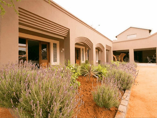 Ein Gedi Premier Lodge Kimberley Northern Cape South Africa Sepia Tones, House, Building, Architecture, Plant, Nature, Garden