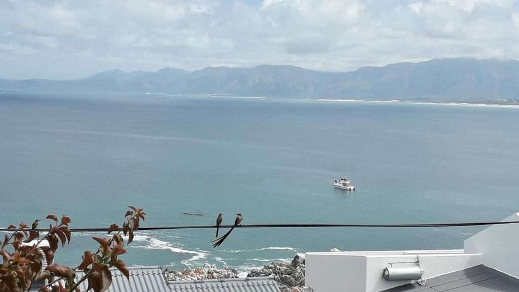 Eirene Place De Kelders Western Cape South Africa Boat, Vehicle, Beach, Nature, Sand, Lake, Waters, Ship