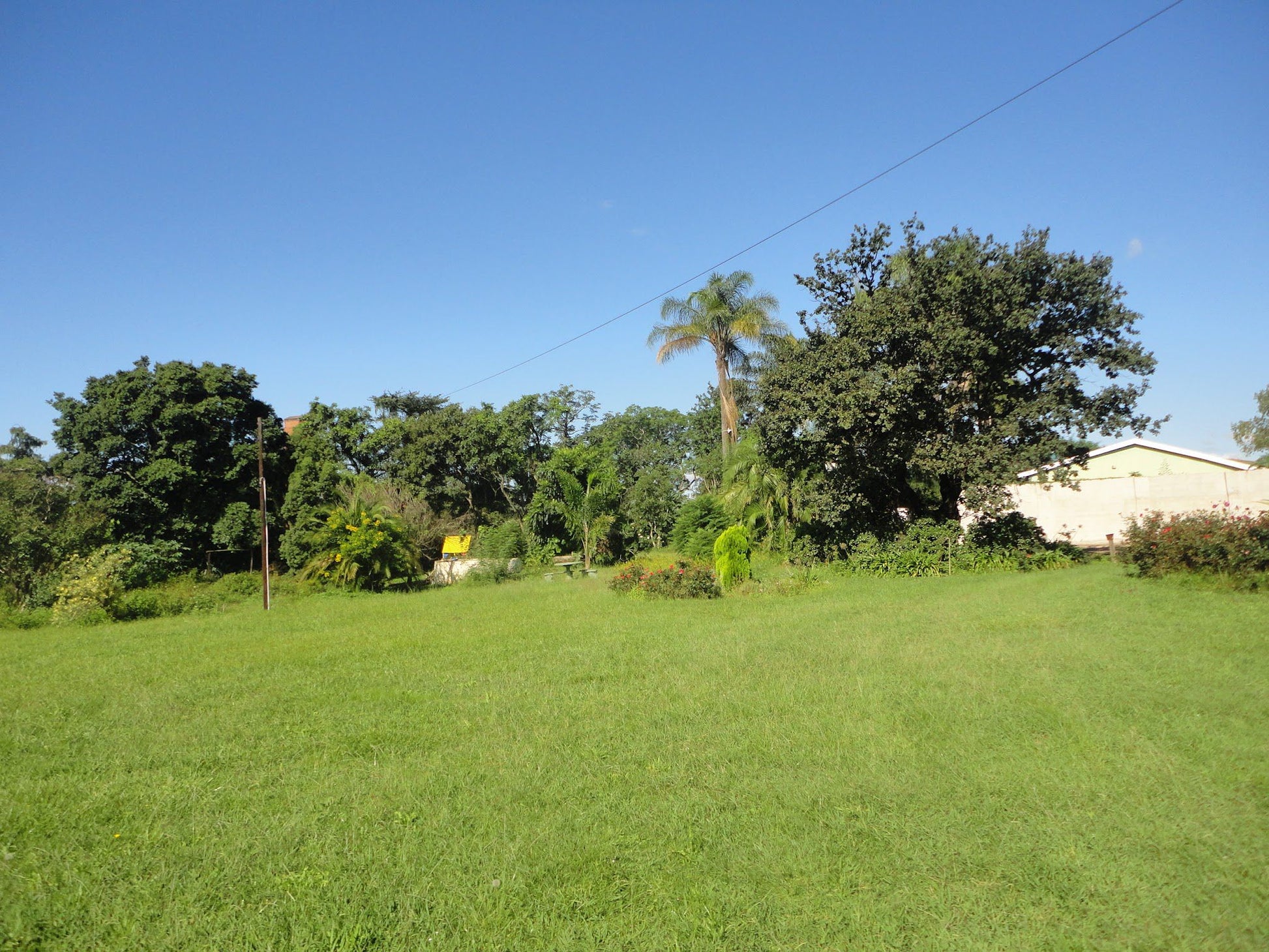 Ekuphumleni Lodge Umzimkulu Kwazulu Natal South Africa Complementary Colors, Palm Tree, Plant, Nature, Wood