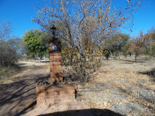 El Rancho Grande Jinnah Park Bela Bela Warmbaths Limpopo Province South Africa Complementary Colors, Cactus, Plant, Nature