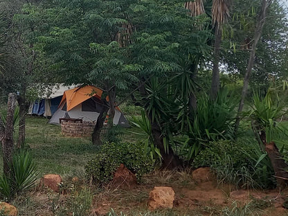 El Rancho Grande Jinnah Park Bela Bela Warmbaths Limpopo Province South Africa Palm Tree, Plant, Nature, Wood, Tent, Architecture