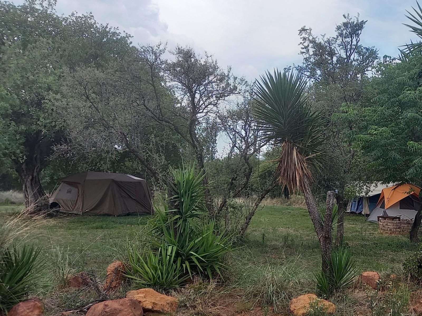 El Rancho Grande Jinnah Park Bela Bela Warmbaths Limpopo Province South Africa Palm Tree, Plant, Nature, Wood, Tent, Architecture