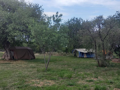 El Rancho Grande Jinnah Park Bela Bela Warmbaths Limpopo Province South Africa Tent, Architecture, Tree, Plant, Nature, Wood