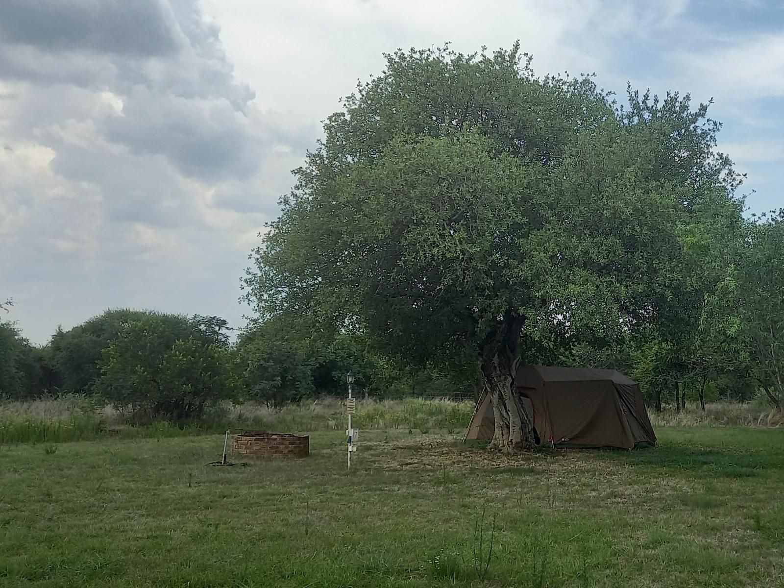 El Rancho Grande Jinnah Park Bela Bela Warmbaths Limpopo Province South Africa Tent, Architecture, Tree, Plant, Nature, Wood