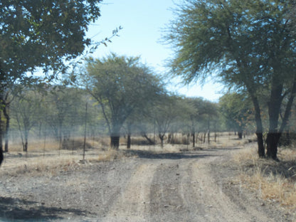 El Rancho Grande Jinnah Park Bela Bela Warmbaths Limpopo Province South Africa Desert, Nature, Sand, Lowland