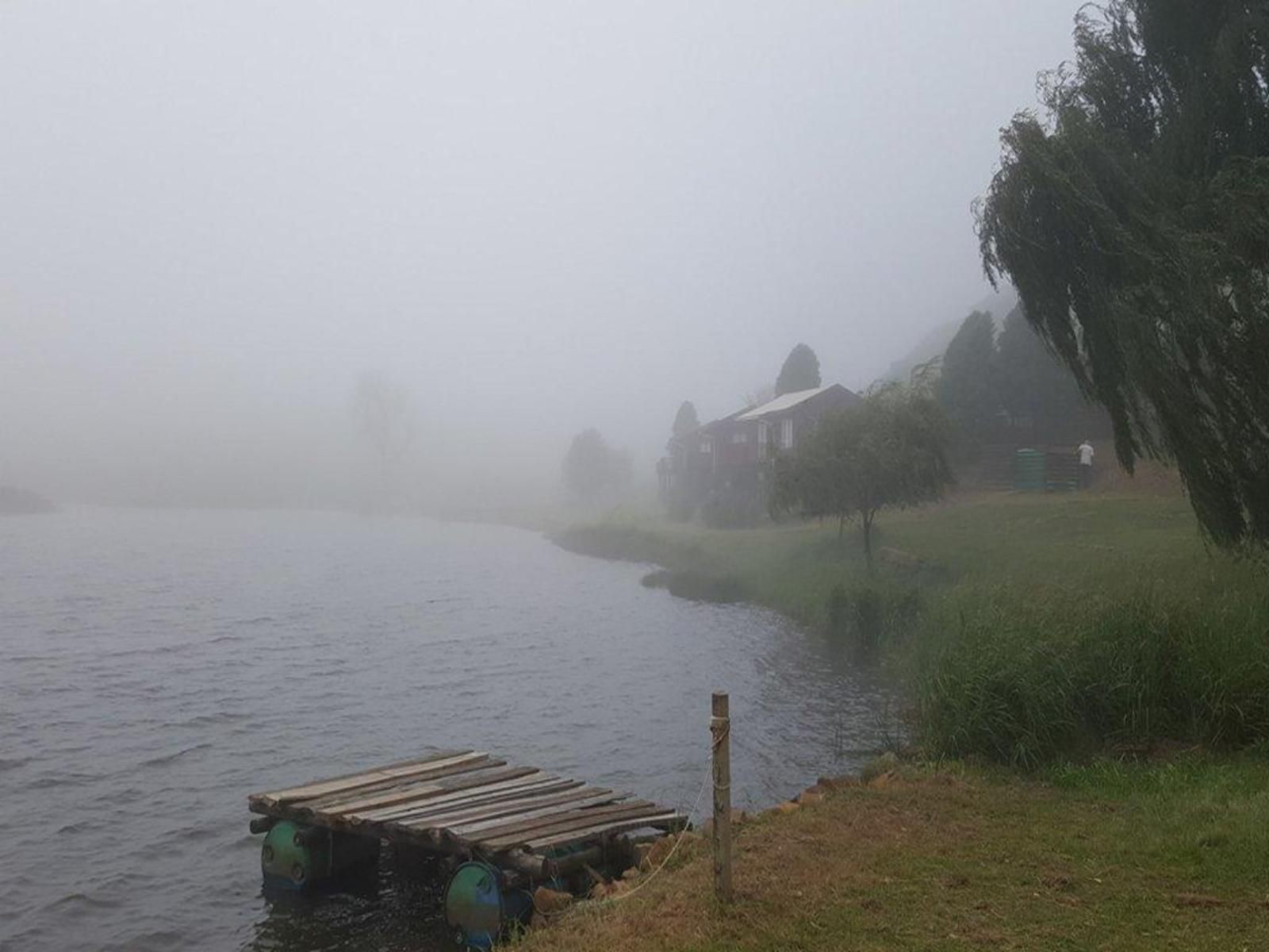 Eland Valley Resort Drakensberg Gardens Kwazulu Natal South Africa Unsaturated, Fog, Nature