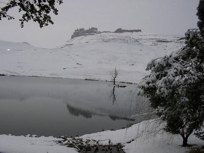 Eland Valley Resort Drakensberg Gardens Kwazulu Natal South Africa Colorless, Nature, Winter Landscape, Snow, Winter