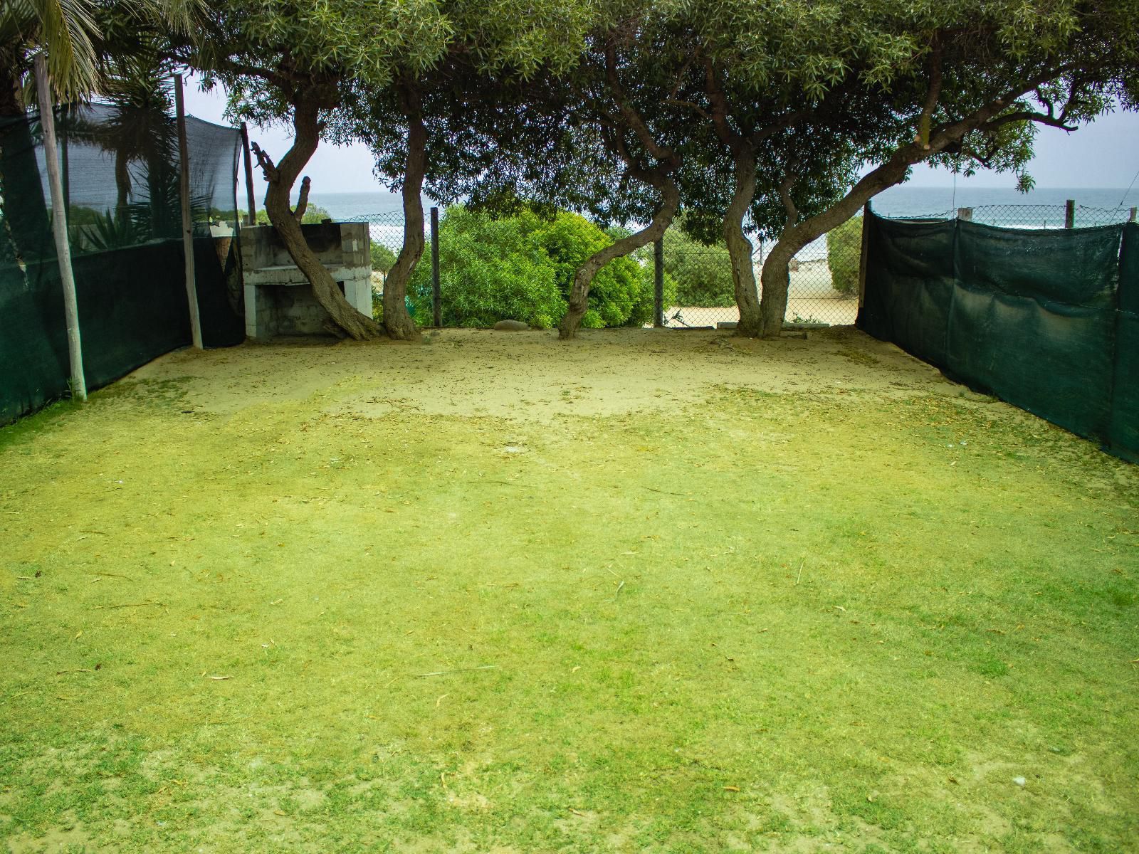 Elands Bay Hotel, Bunk-Bed Backpacker, Plant, Nature, Garden