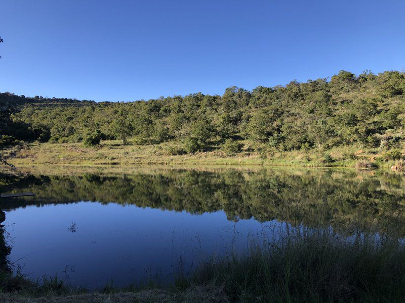 Elandsvlei Estate Luxury Tent Vaalwater Limpopo Province South Africa Complementary Colors, River, Nature, Waters, Tree, Plant, Wood