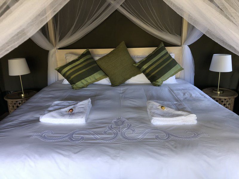 Elandsvlei Estate Luxury Tent Vaalwater Limpopo Province South Africa Bedroom