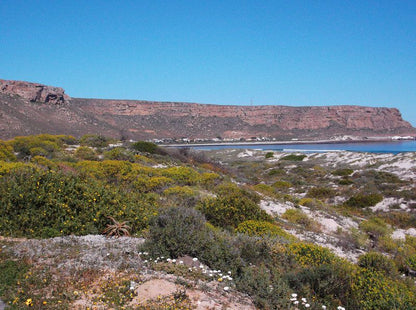 Elandsbaaitrust Elands Bay Western Cape South Africa Complementary Colors, Nature