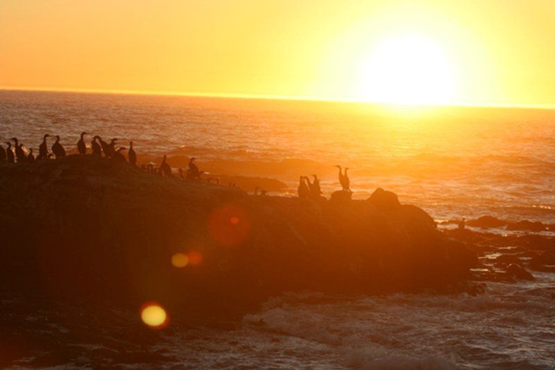 Elands Bay Beach Cottage Elands Bay Western Cape South Africa Colorful, Beach, Nature, Sand, Sky, Ocean, Waters, Sunset