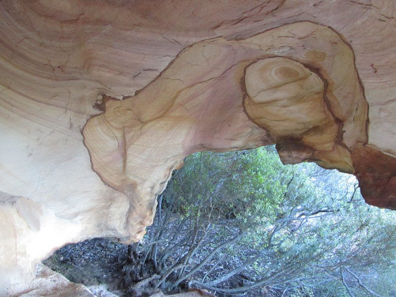 Elandsberg Eco Tourism Clanwilliam Western Cape South Africa Cave, Nature