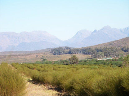 Elandsberg Eco Tourism Clanwilliam Western Cape South Africa Complementary Colors, Mountain, Nature