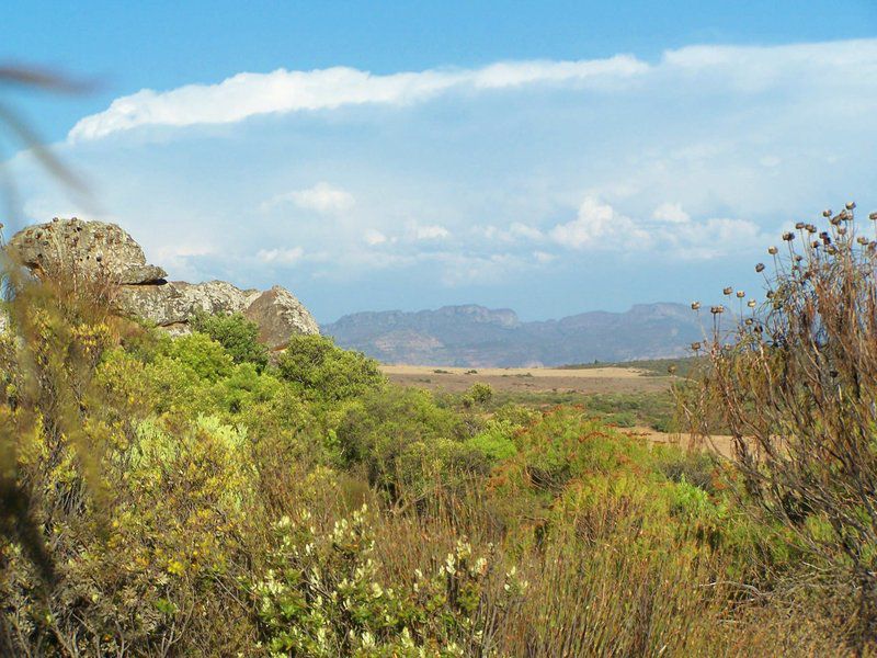 Elandsberg Eco Tourism Clanwilliam Western Cape South Africa Complementary Colors, Nature