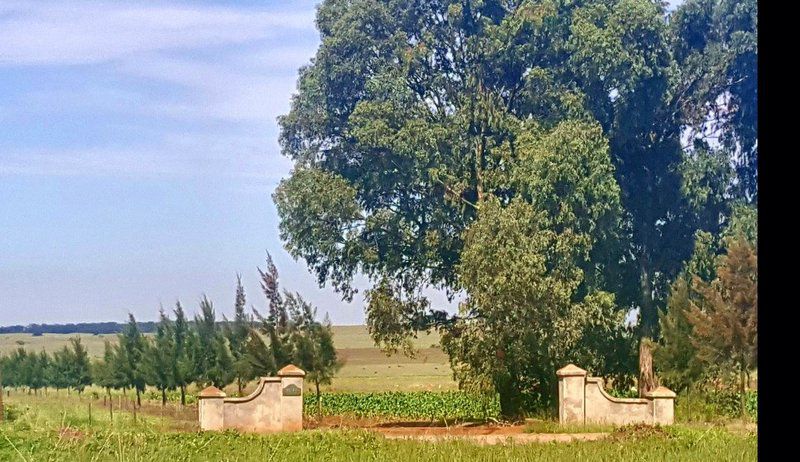 Elandsfontein Farm Cottage Elandsfontein Johannesburg Gauteng South Africa Complementary Colors, Field, Nature, Agriculture, Tree, Plant, Wood, Lowland