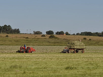 Elandsfontein Farm Cottage Elandsfontein Johannesburg Gauteng South Africa Field, Nature, Agriculture, Tractor, Vehicle, Lowland