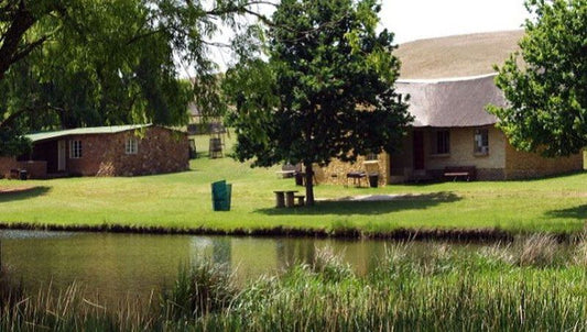Elandskloof Trout Farm Forel Plaas Dullstroom Mpumalanga South Africa House, Building, Architecture, Tree, Plant, Nature, Wood, Cemetery, Religion, Grave